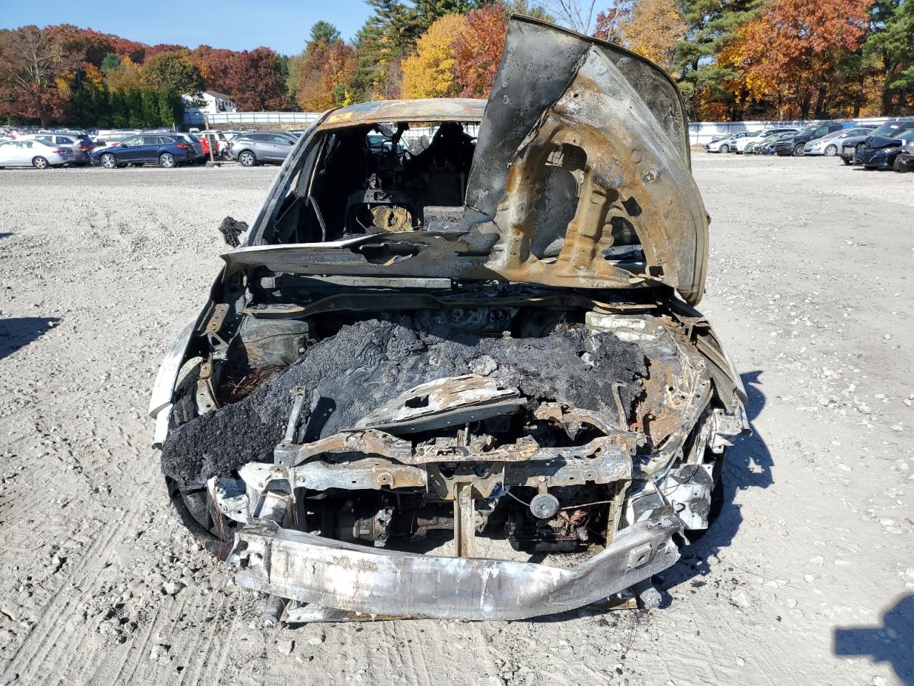 2019 Toyota C-HR - Image 5