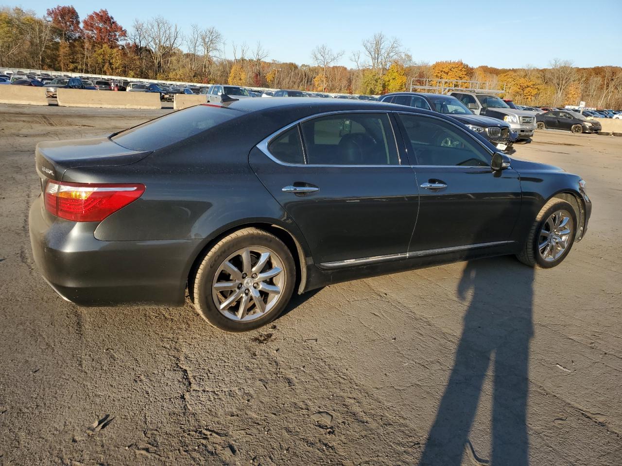 2010 Lexus LS - Image 3