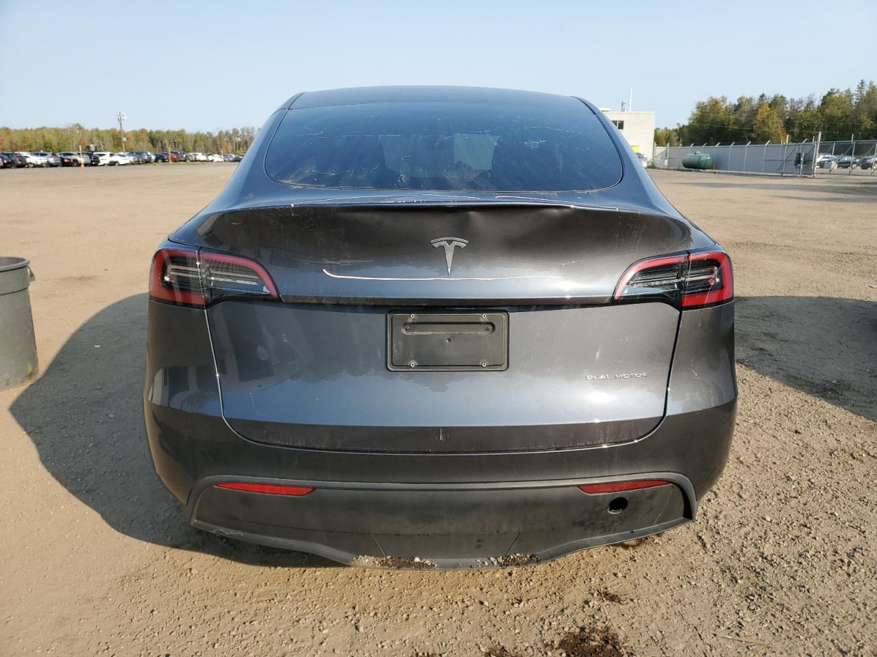 2023 Tesla Model Y VIN: 7SAYGDEEXPF774071 Lot: 74577734