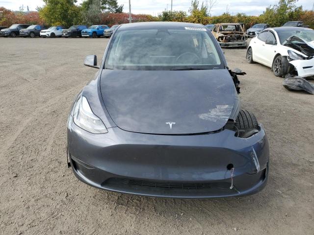 TESLA MODEL Y 2023 Серый