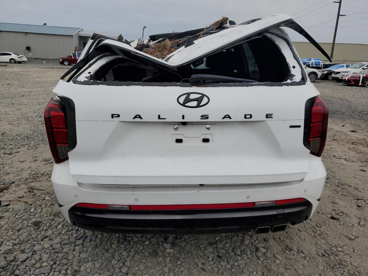 2024 Hyundai Palisade Calligraphy VIN: KM8R7DGE9RU696743 Lot: 74266984