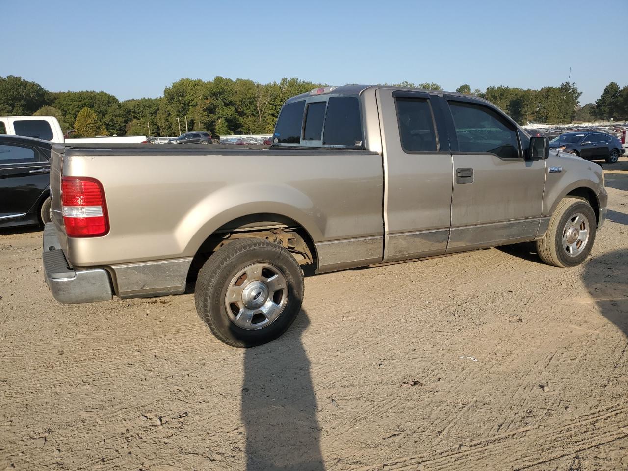 2004 Ford F150 VIN: 1FTPX12594NA29806 Lot: 75899944