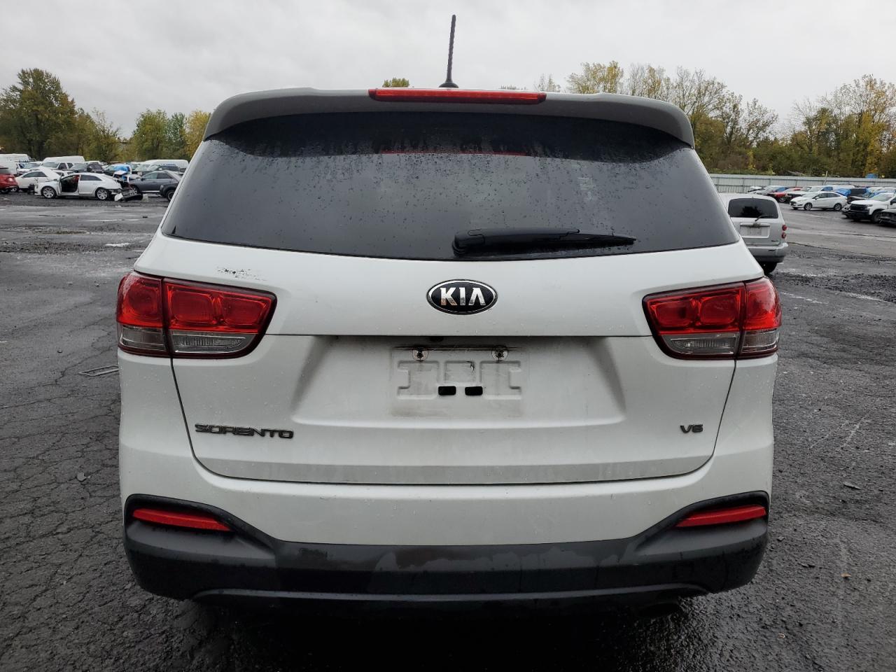 2017 Kia Sorento Lx VIN: 5XYPGDA57HG218325 Lot: 78881524