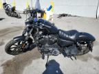 2019 Harley-Davidson Xl883 N for Sale in Las Vegas, NV - Side