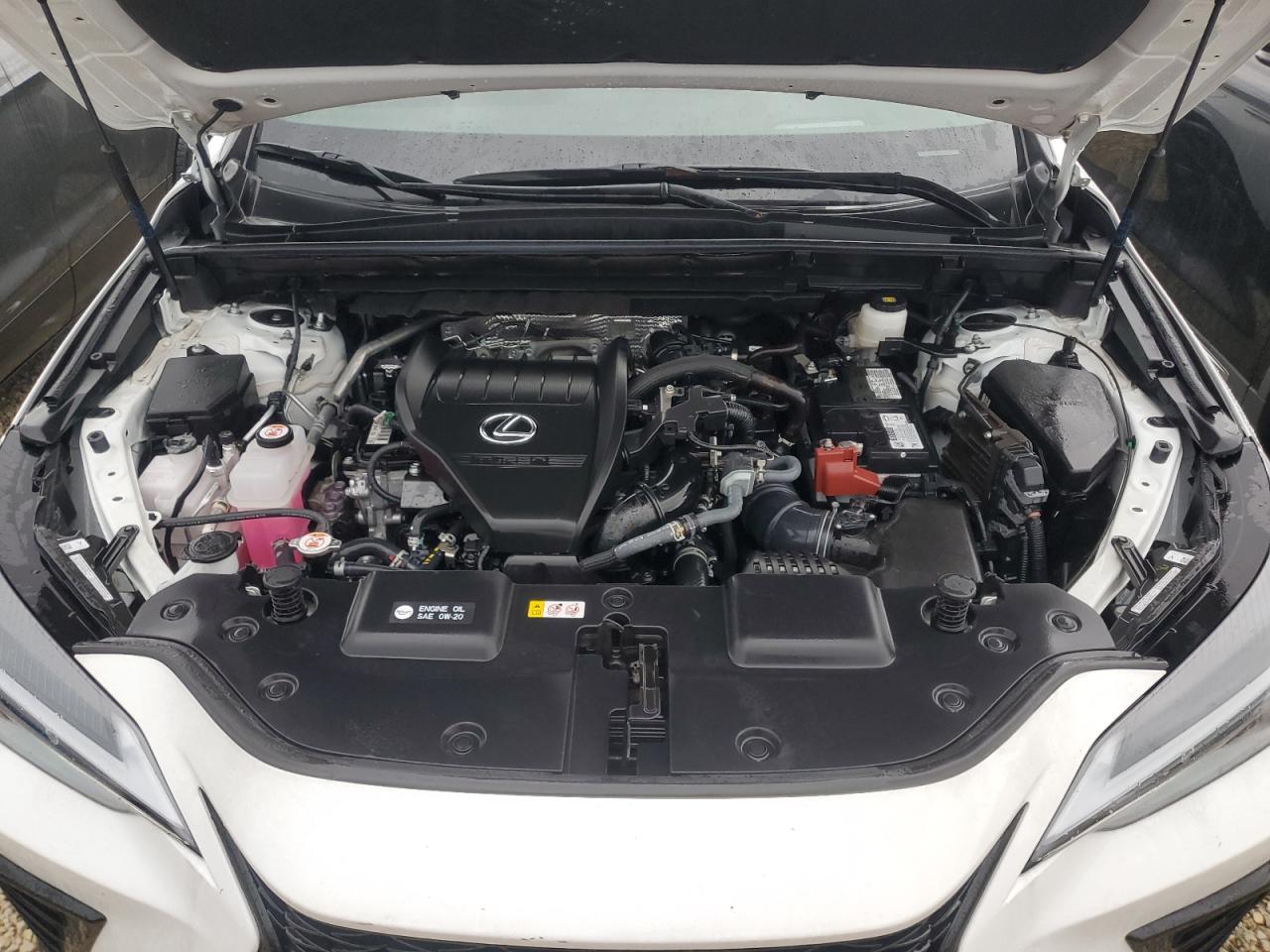 2024 Lexus Nx 350 Luxury VIN: 2T2KGCEZ8RC044923 Lot: 74529464