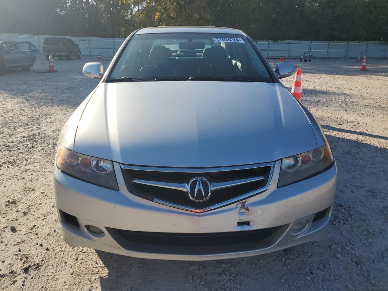 2007 Acura Tsx VIN: JH4CL96887C002480 Lot: 77534234