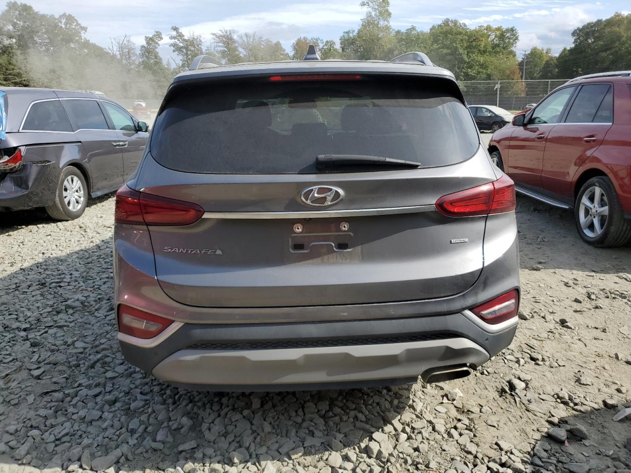 2020 Hyundai Santa Fe Sel VIN: 5NMS3CAD7LH171559 Lot: 75818484