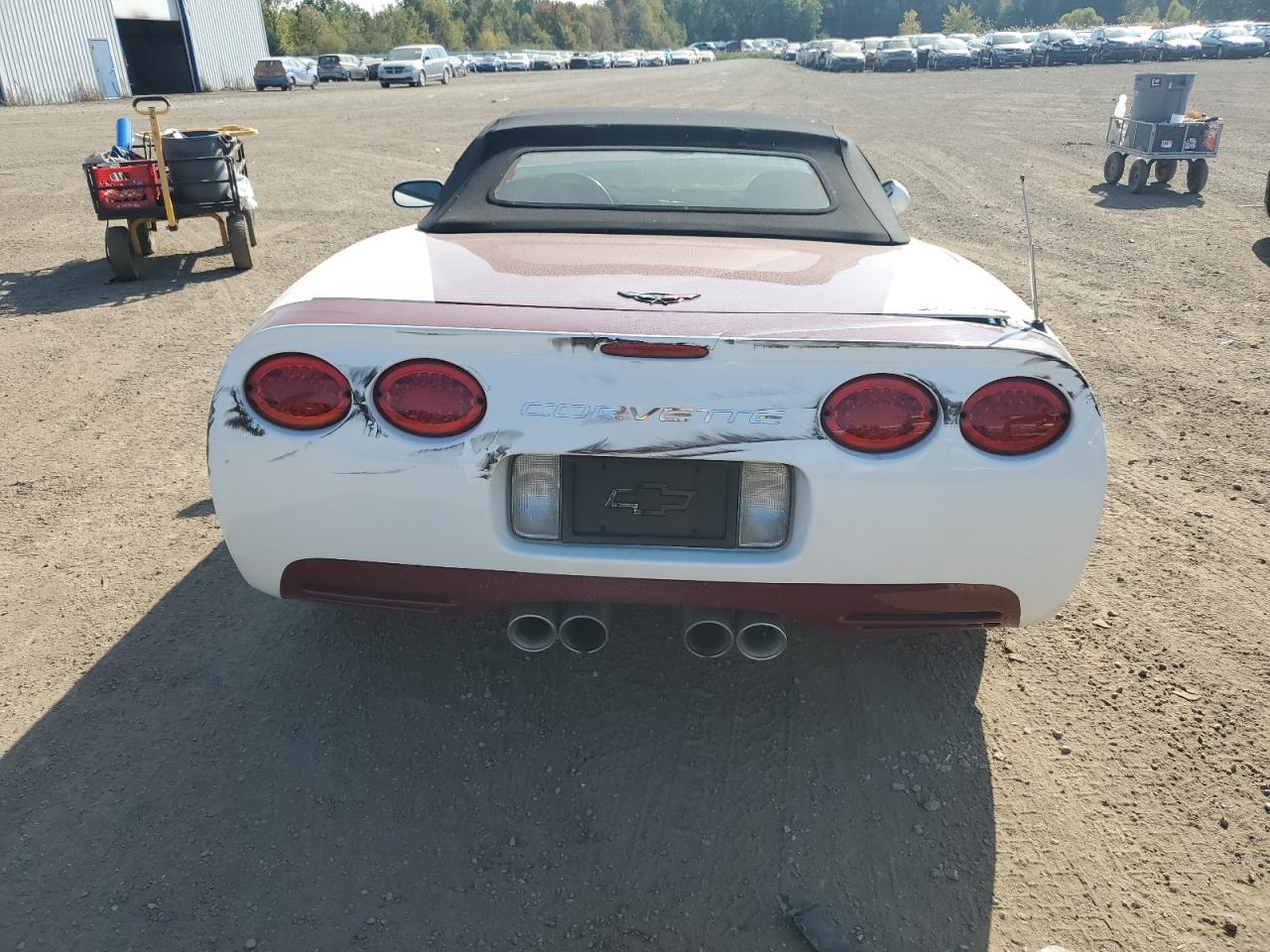 2000 Chevrolet Corvette VIN: 1G1YY32G8Y5122796 Lot: 75874924