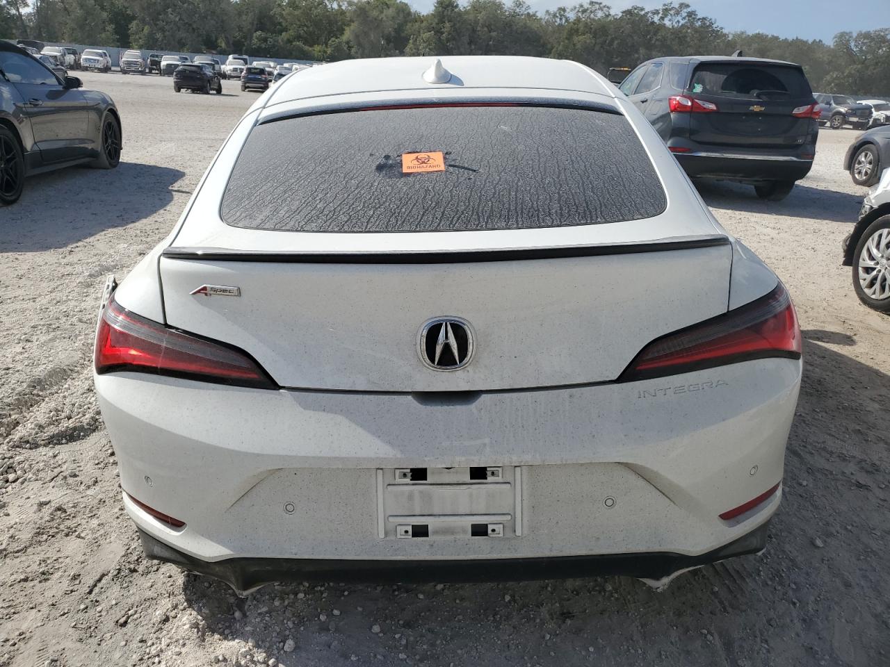 2024 Acura Integra - Image 6