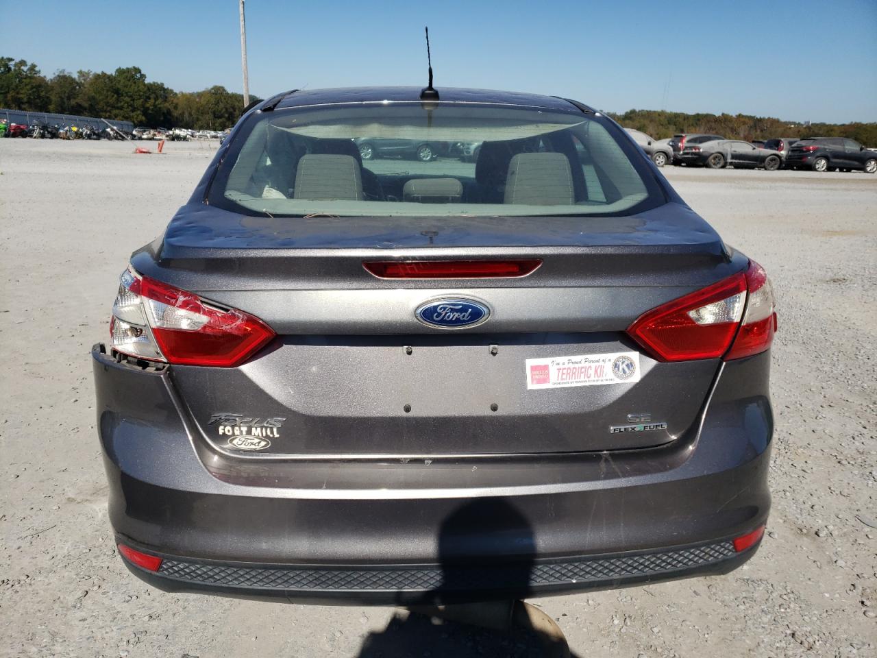 2014 Ford Focus Se VIN: 1FADP3F25EL402759 Lot: 77180174