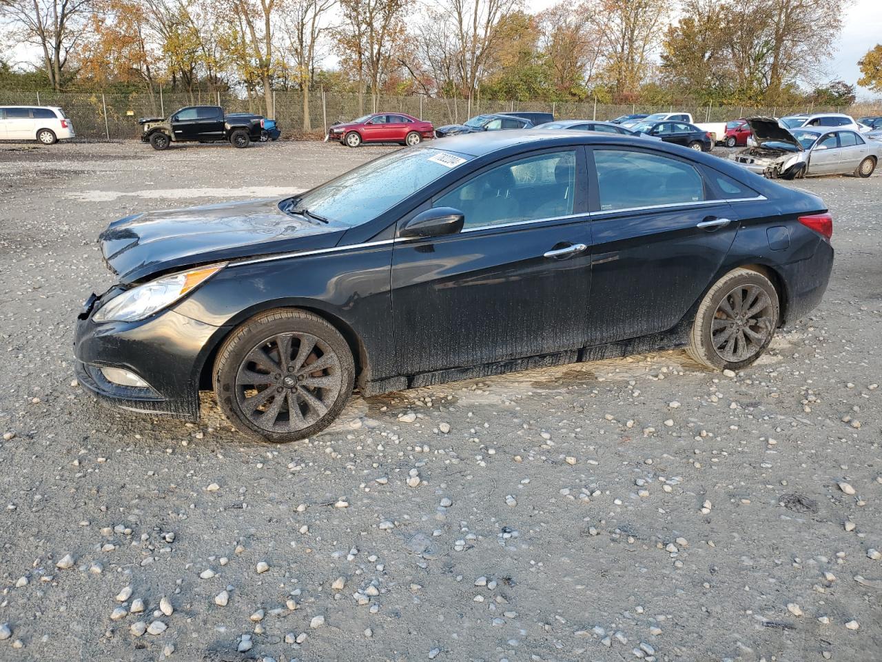 2011 Hyundai Sonata - Image 1