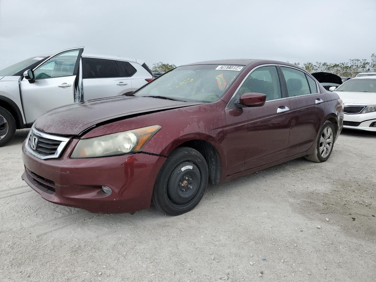 2009 Honda Accord Exl VIN: 1HGCP36839A021179 Lot: 76611894