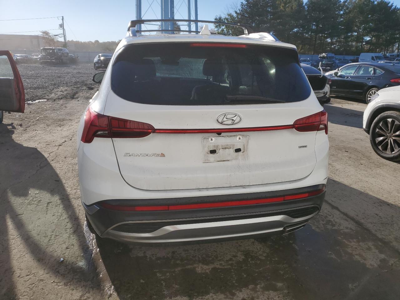 2021 Hyundai Santa Fe Sel VIN: 5NMS6DAJ0MH316090 Lot: 76289554