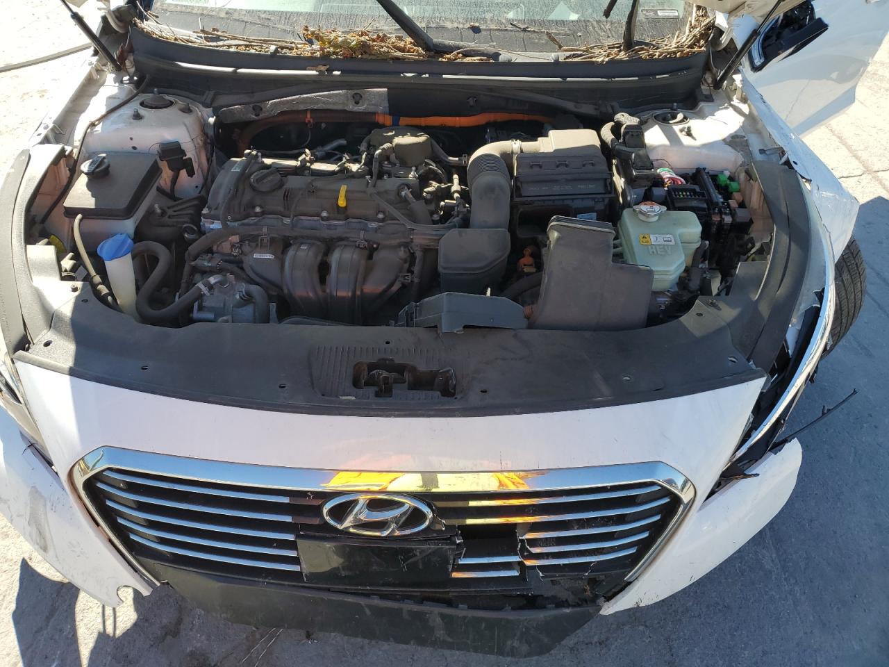 2016 Hyundai Sonata Hybrid VIN: KMHE34L17GA029679 Lot: 77175904