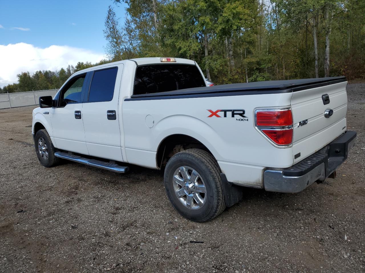 1FTFW1EF4EFA73839 2014 Ford F150 Supercrew