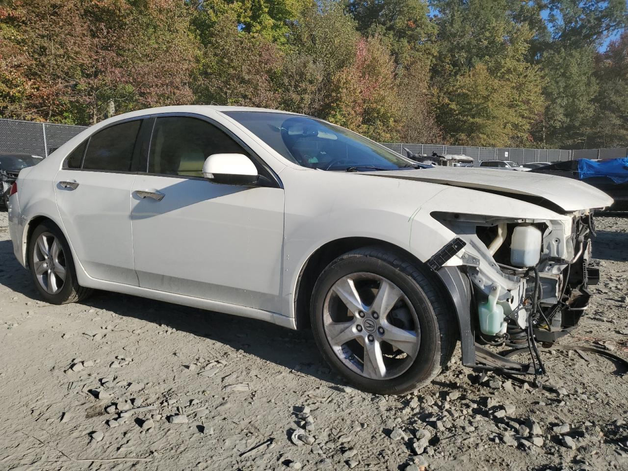 2010 Acura TSX - Image 4