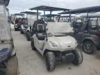 2021 Golf Cart Cart zu verkaufen in Riverview, FL - Water/Flood