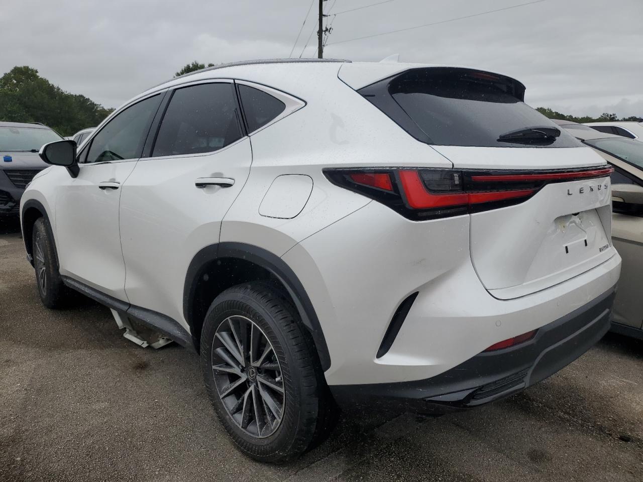 JTJGDCAZ1S5023856 2025 LEXUS NX - Image 2