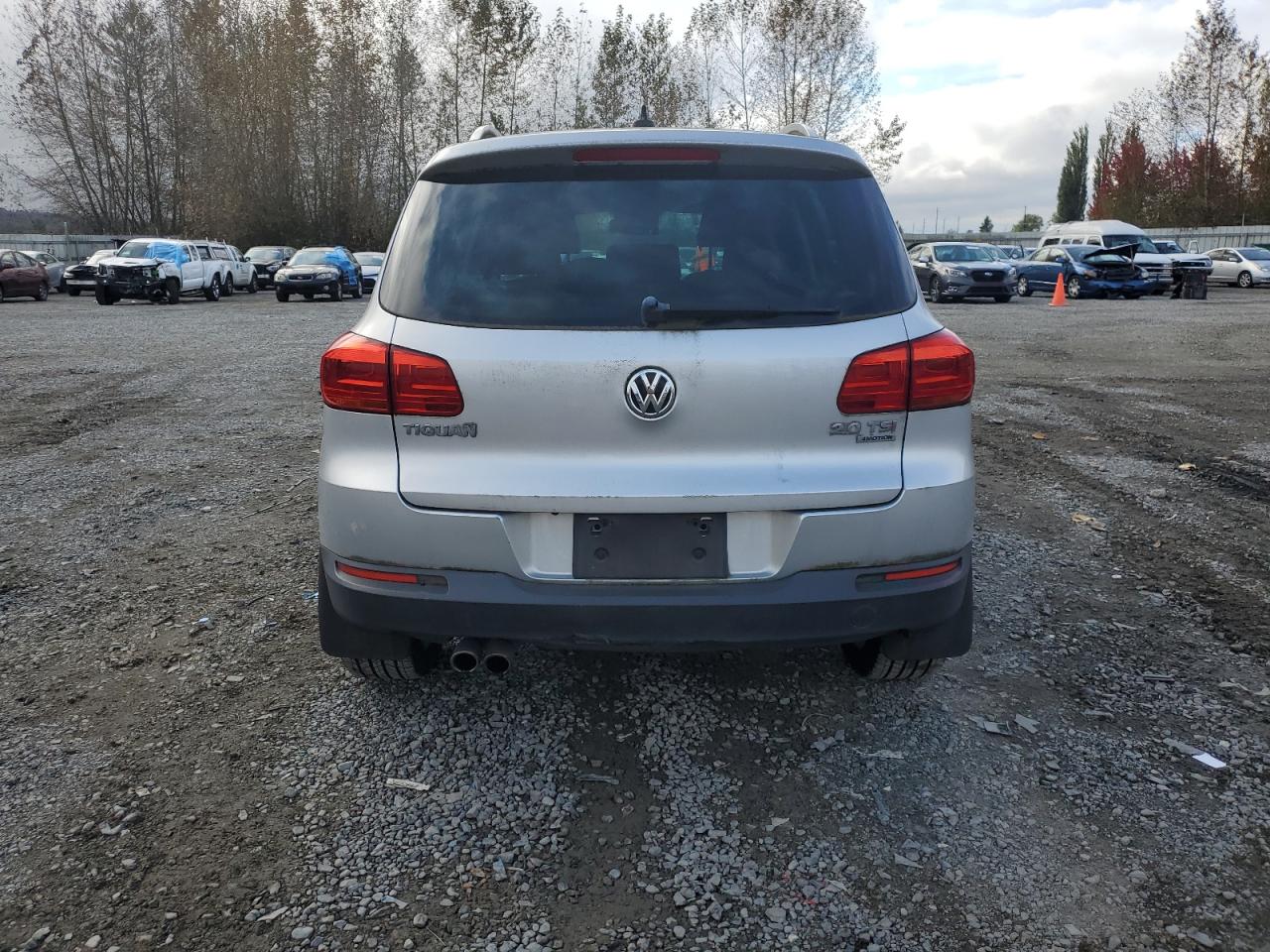 2013 Volkswagen Tiguan S VIN: WVGBV3AX7DW626005 Lot: 75278034