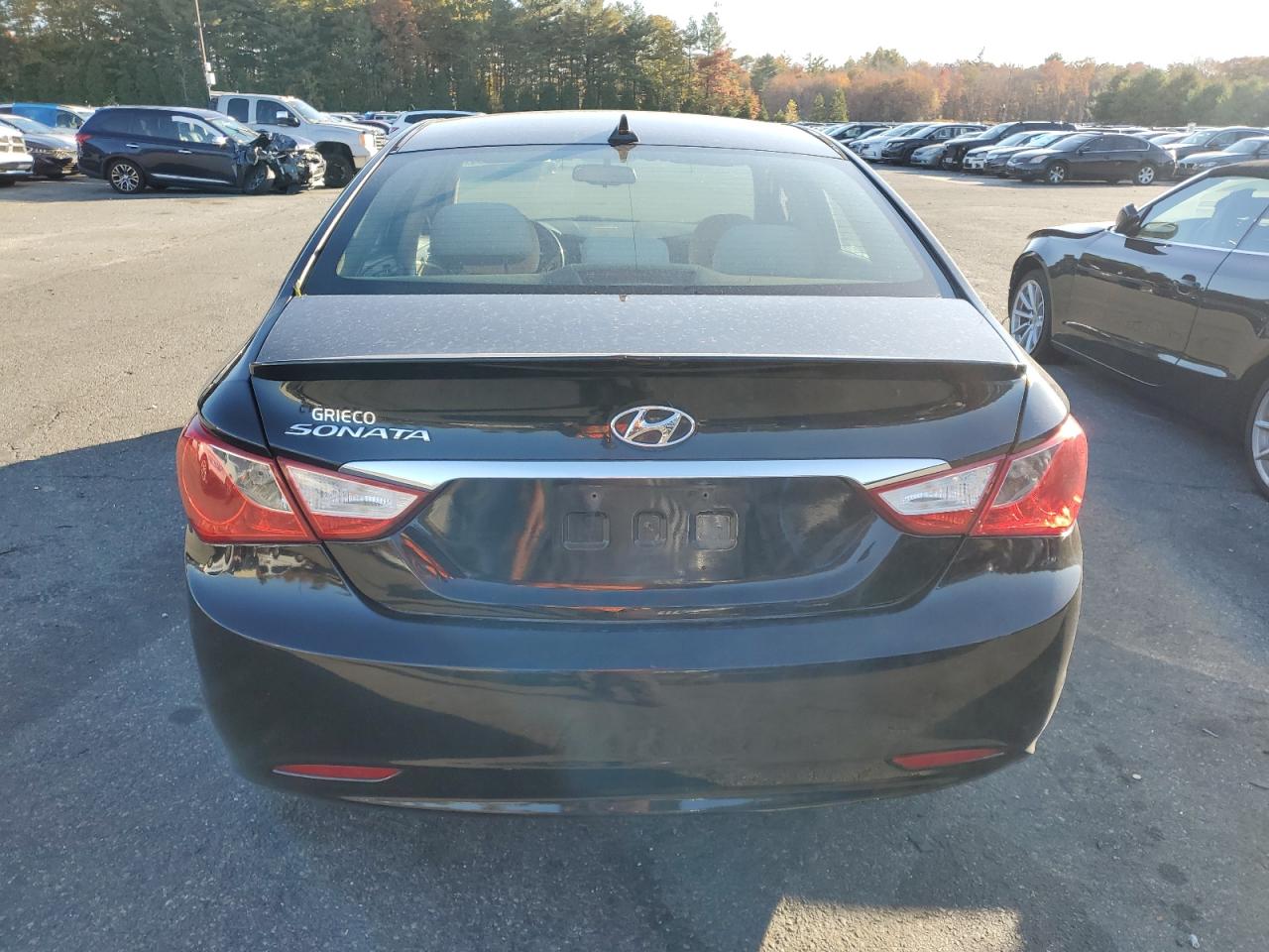 2013 Hyundai Sonata Gls VIN: 5NPEB4AC4DH779217 Lot: 75878394