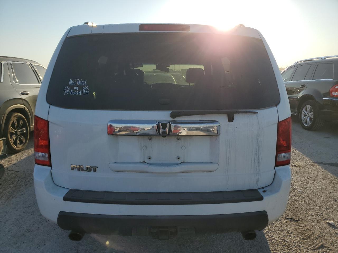 2010 Honda Pilot Exl VIN: 5FNYF3H50AB018231 Lot: 73884954