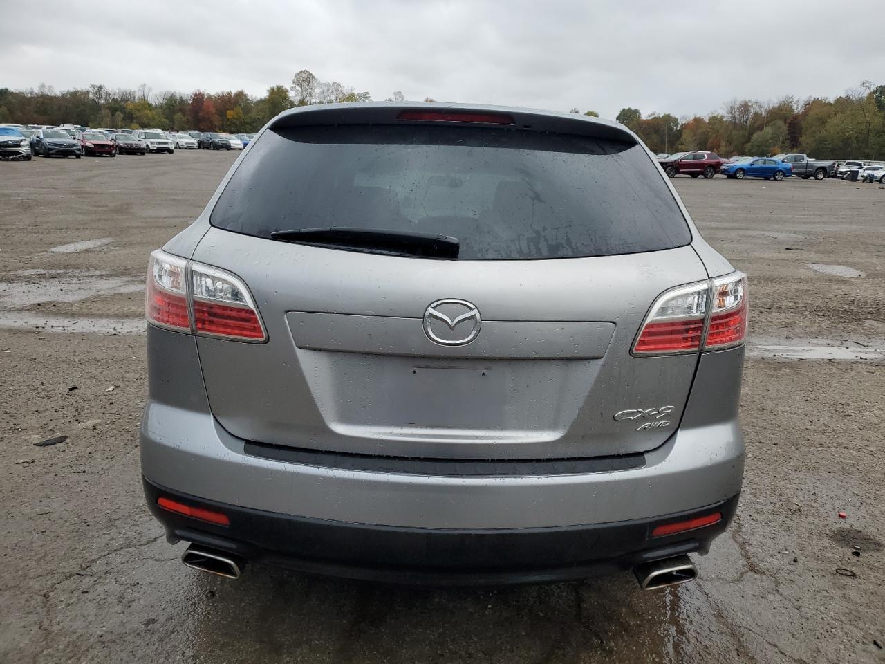 2010 Mazda Cx-9 VIN: JM3TB3MV1A0228015 Lot: 75523284