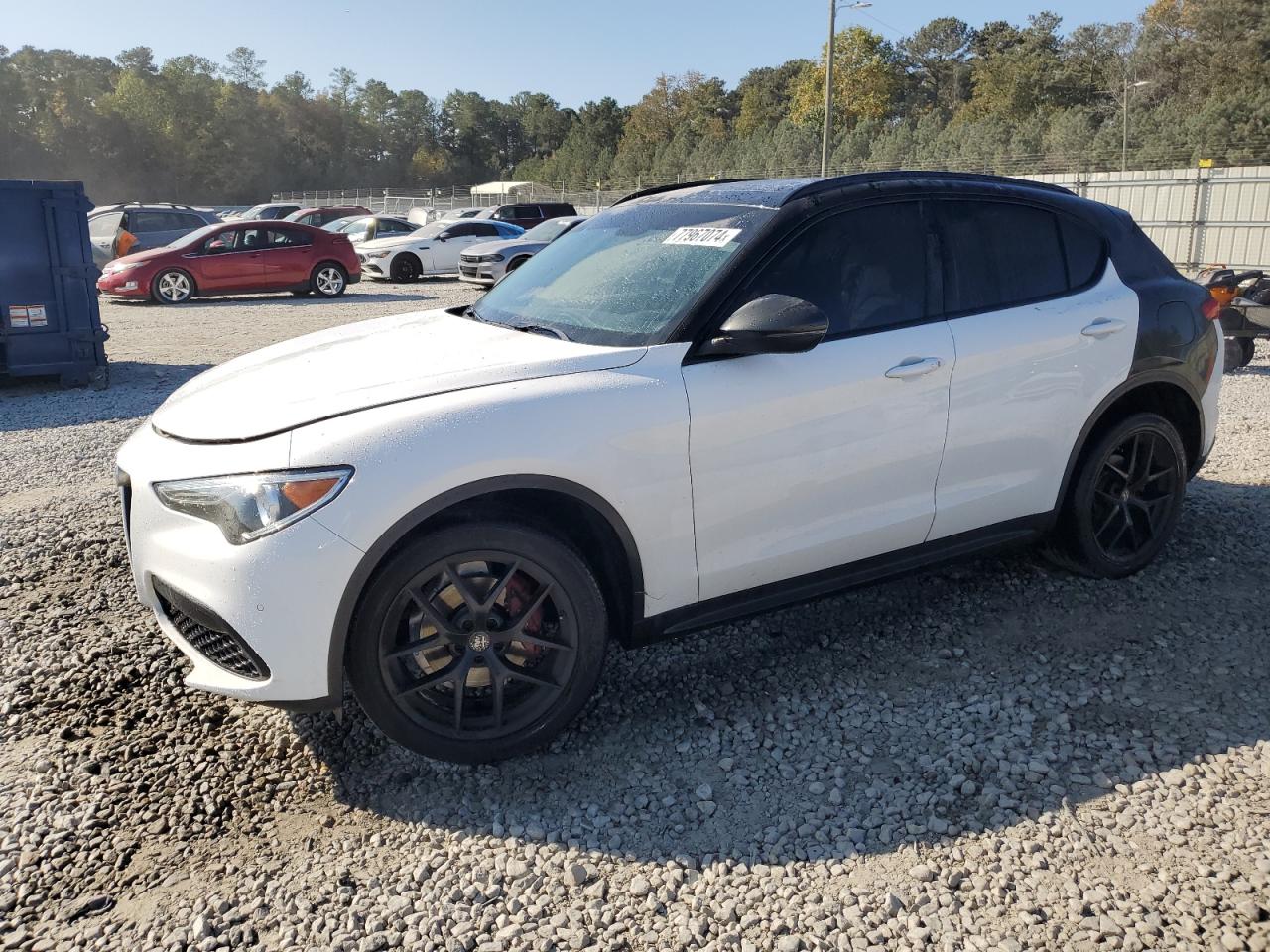 2019 Alfa Romeo Stelvio - Image 1