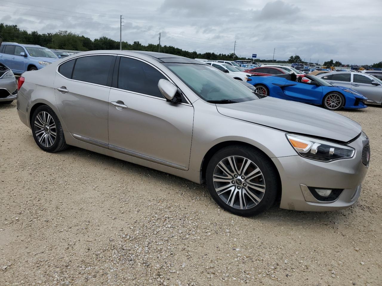 KNALN4D77E5134265 2014 Kia Cadenza Premium