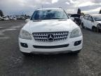 MERCEDES-BENZ ML 500 photo