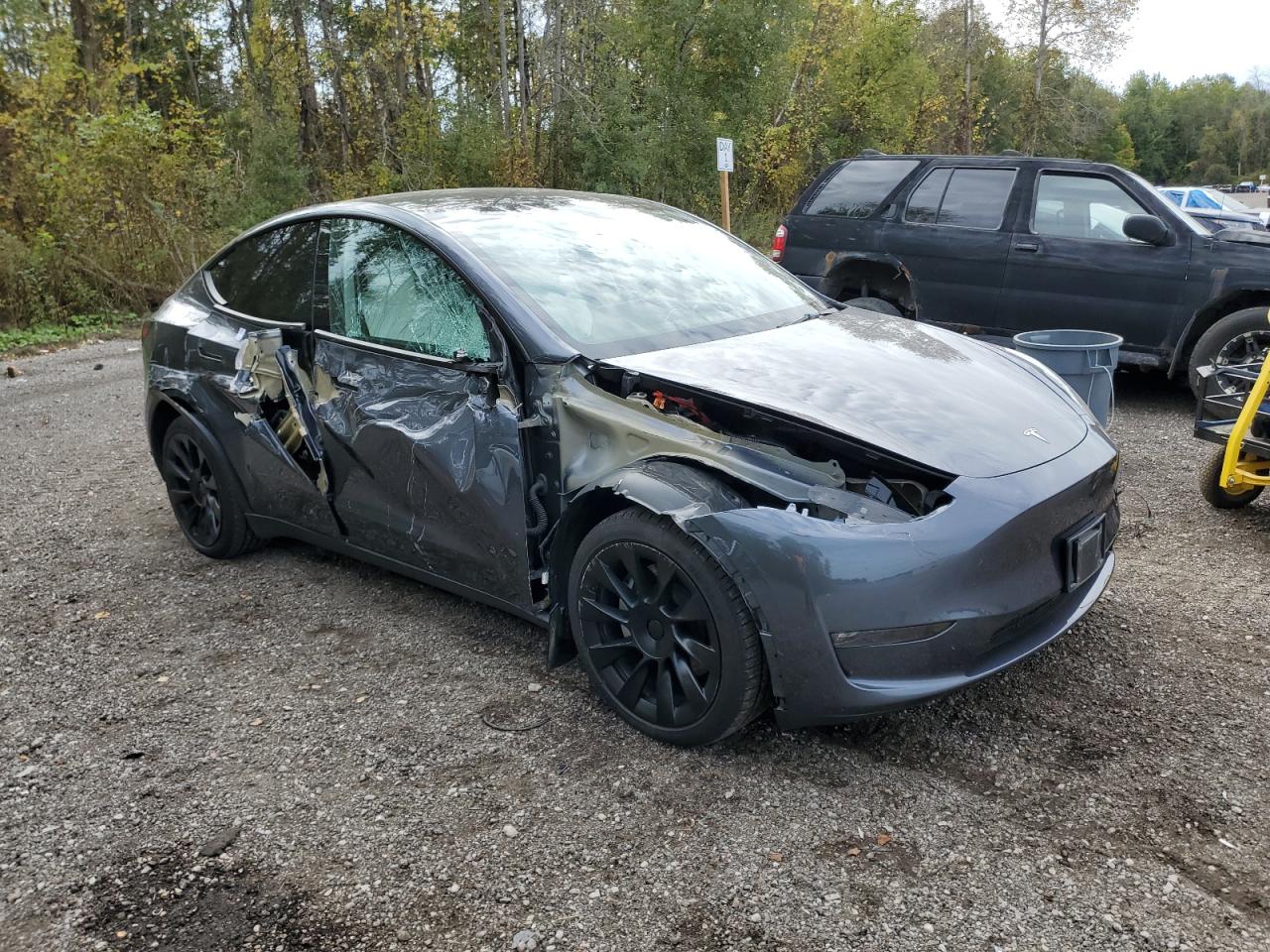 2023 Tesla Model Y VIN: 7SAYGDEE4PF609049 Lot: 73764264