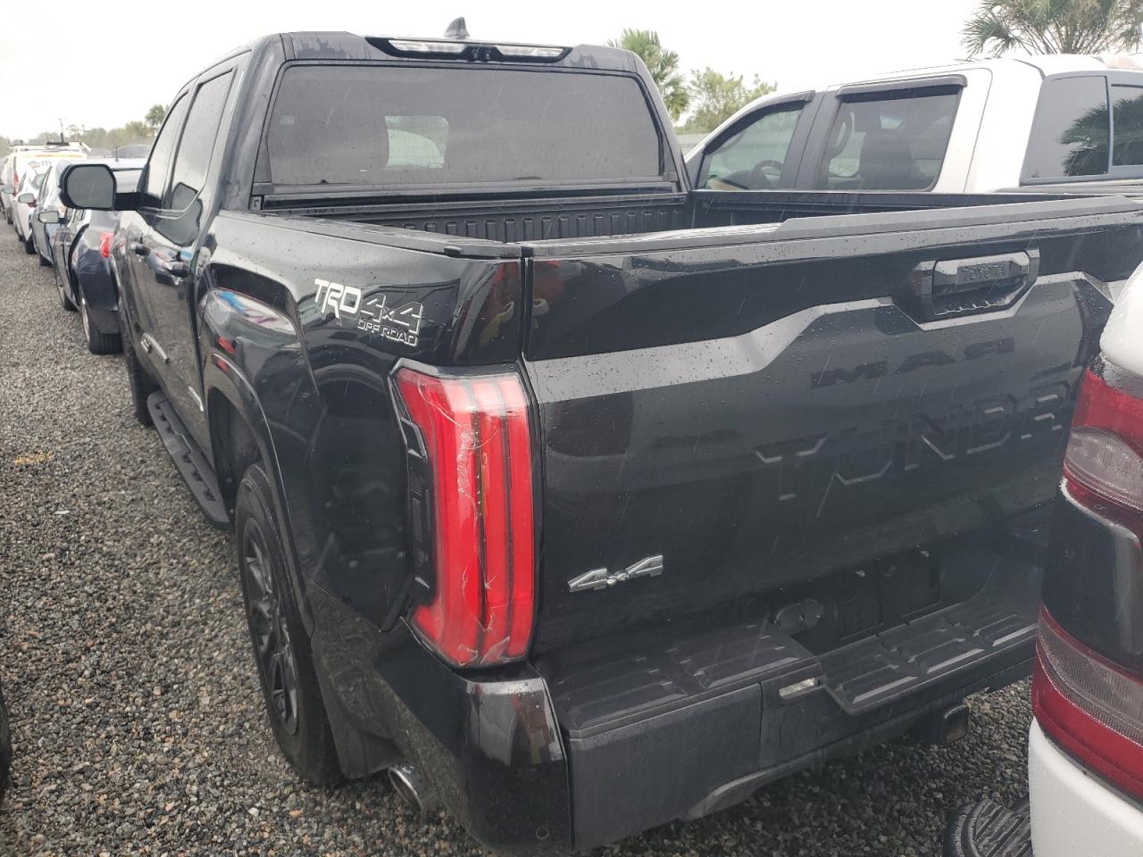 2022 Toyota Tundra Crewmax Platinum VIN: 5TFMC5DB6NX007132 Lot: 74588064