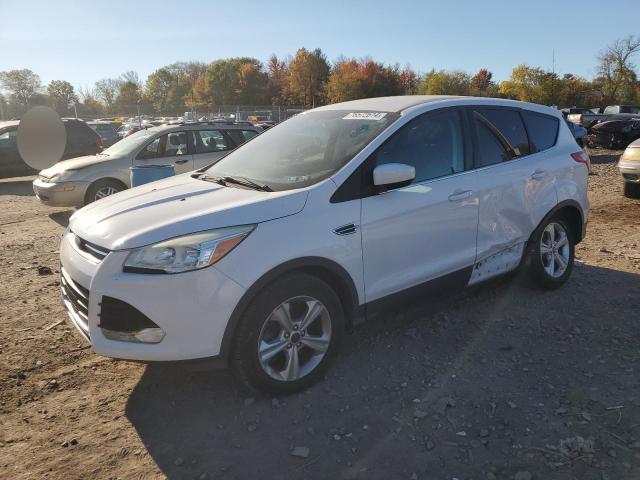  FORD ESCAPE 2014 White