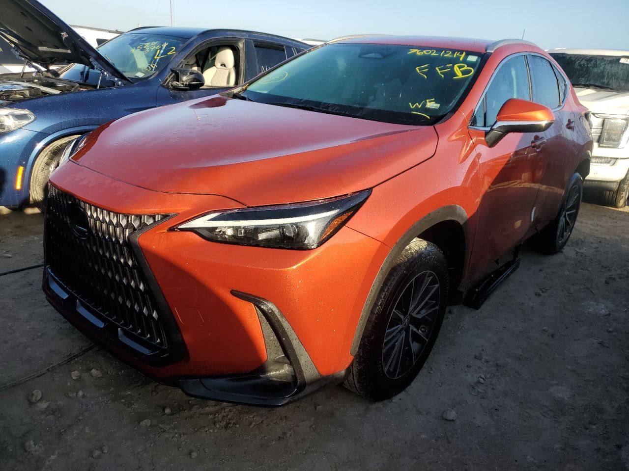 2023 Lexus NX - Image 1