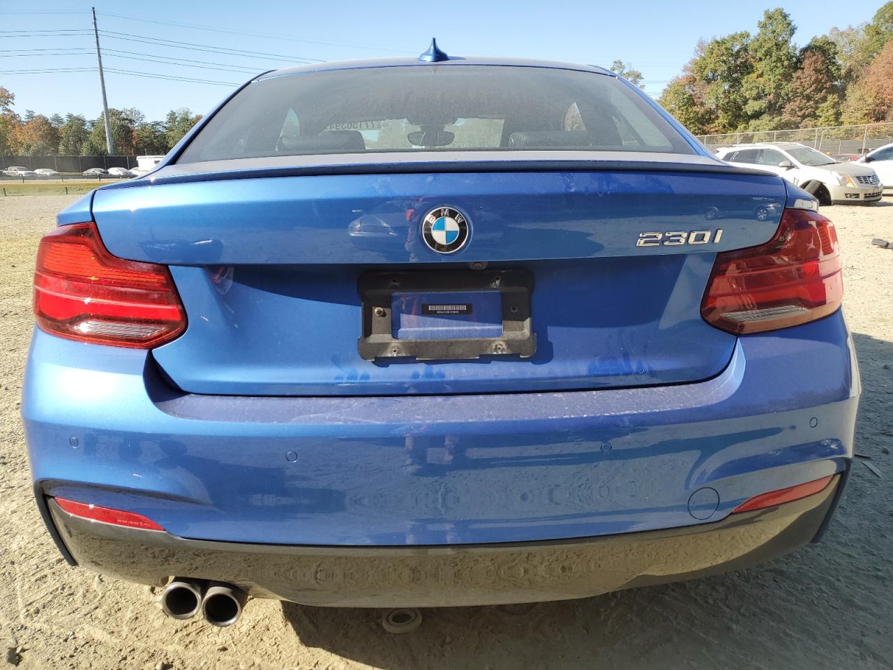 2020 BMW 230I VIN: WBA2J1C06L7E98238 Lot: 77156394