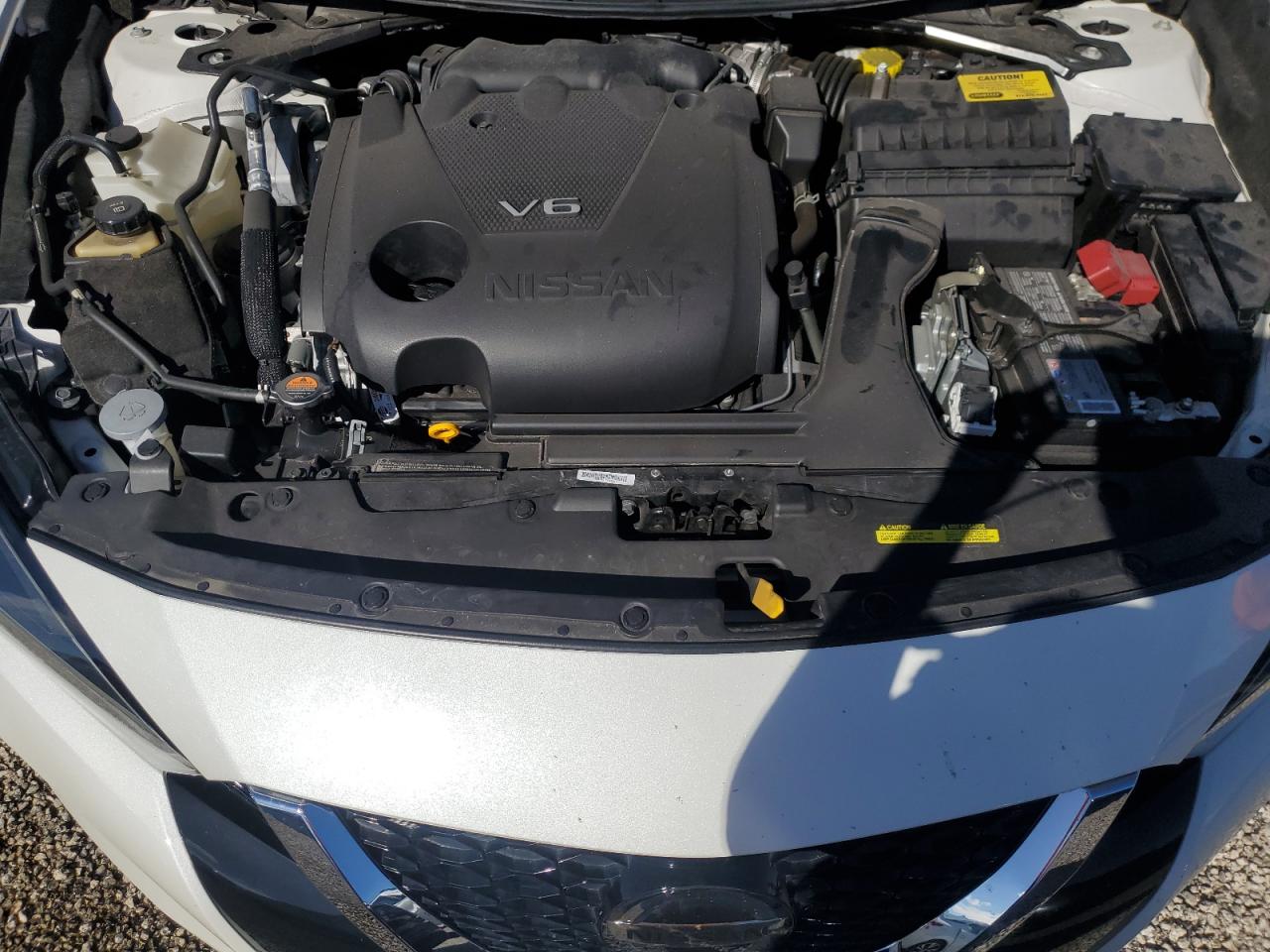 2022 Nissan Maxima Platinum VIN: 1N4AA6FV6NC501753 Lot: 74143844