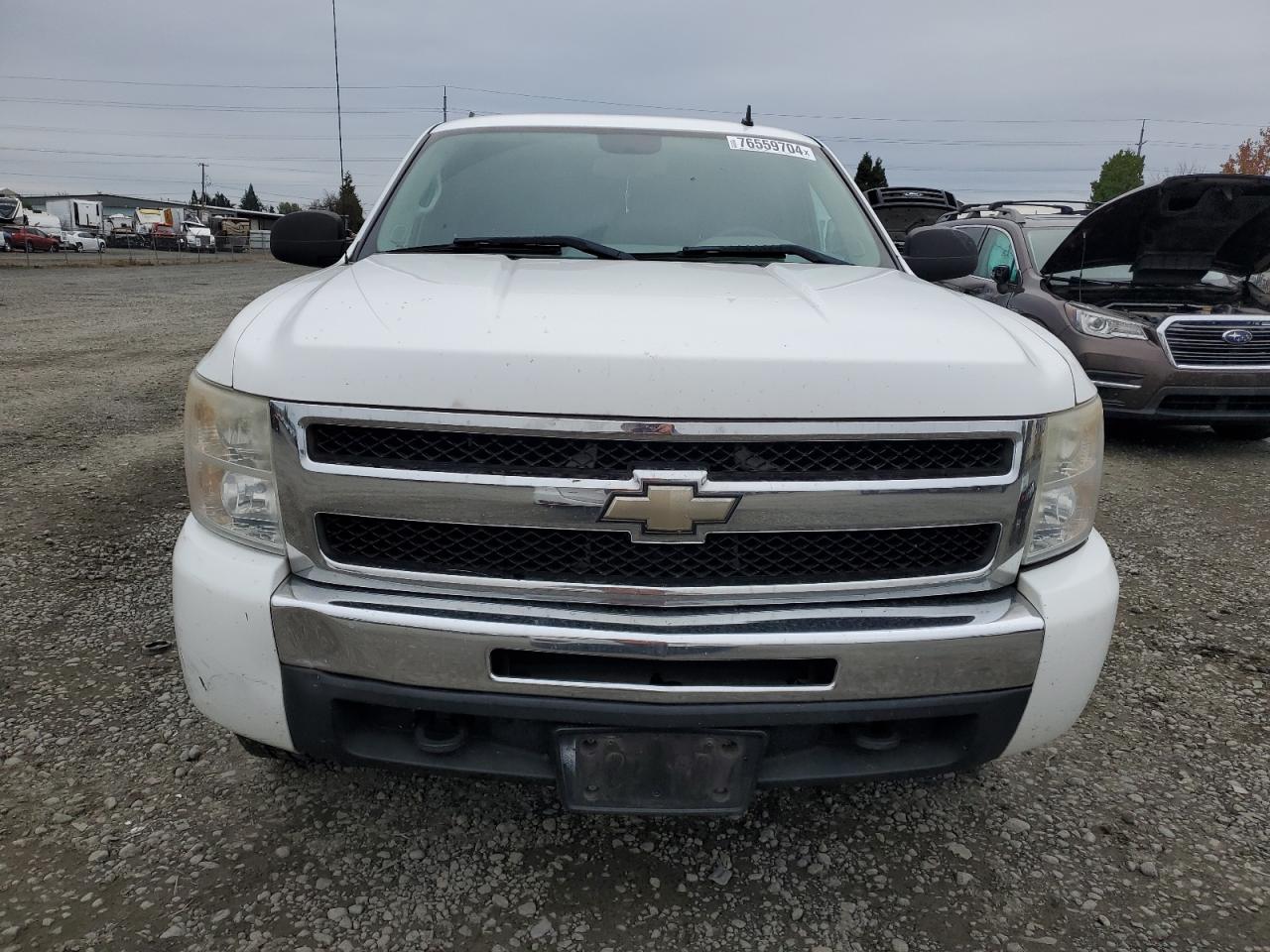 2009 Chevrolet Silverado K1500 VIN: 1GCEK19C89Z298390 Lot: 76559704