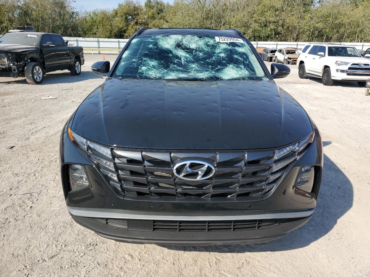 2024 Hyundai Tucson - Image 5