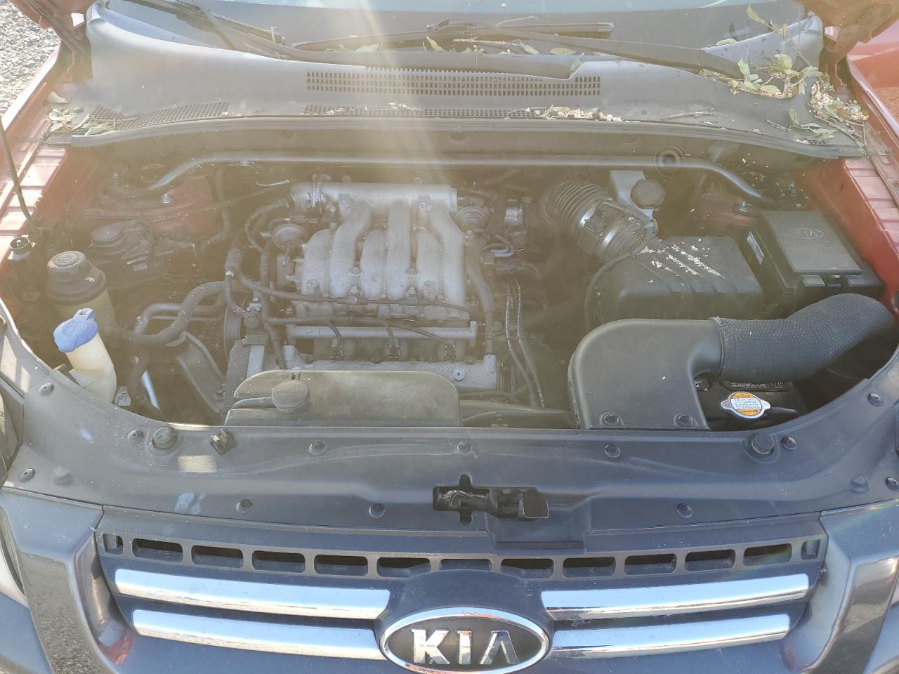 KNDJF723367214466 2006 Kia New Sportage