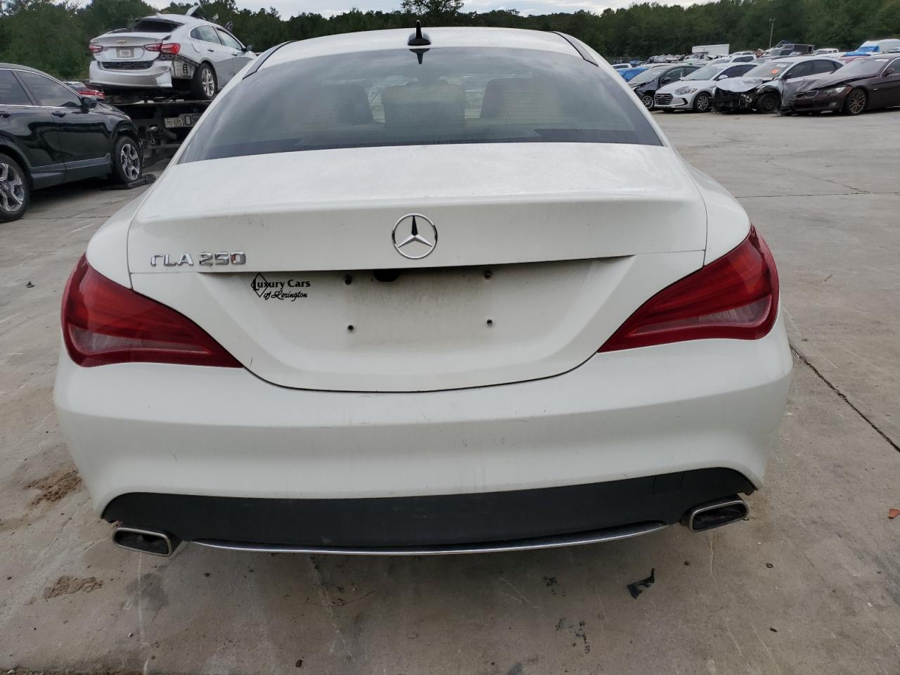 2014 Mercedes-Benz Cla 250 VIN: WDDSJ4EB2EN036697 Lot: 74355584