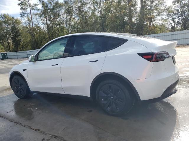  TESLA MODEL Y 2023 Белый