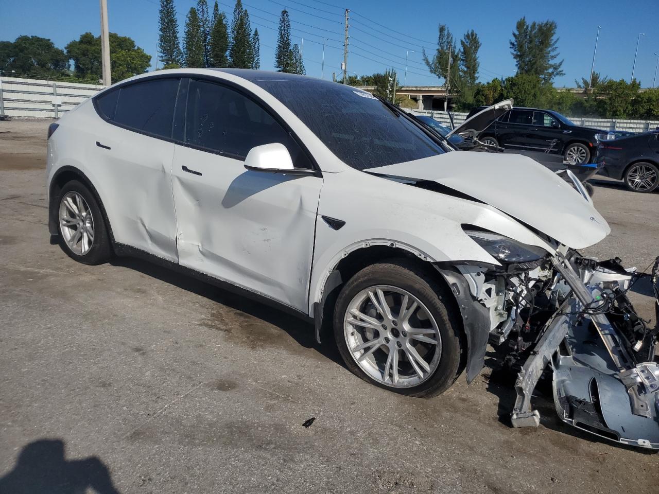 2023 Tesla Model Y VIN: 7SAYGDEE1PF760026 Lot: 73967694