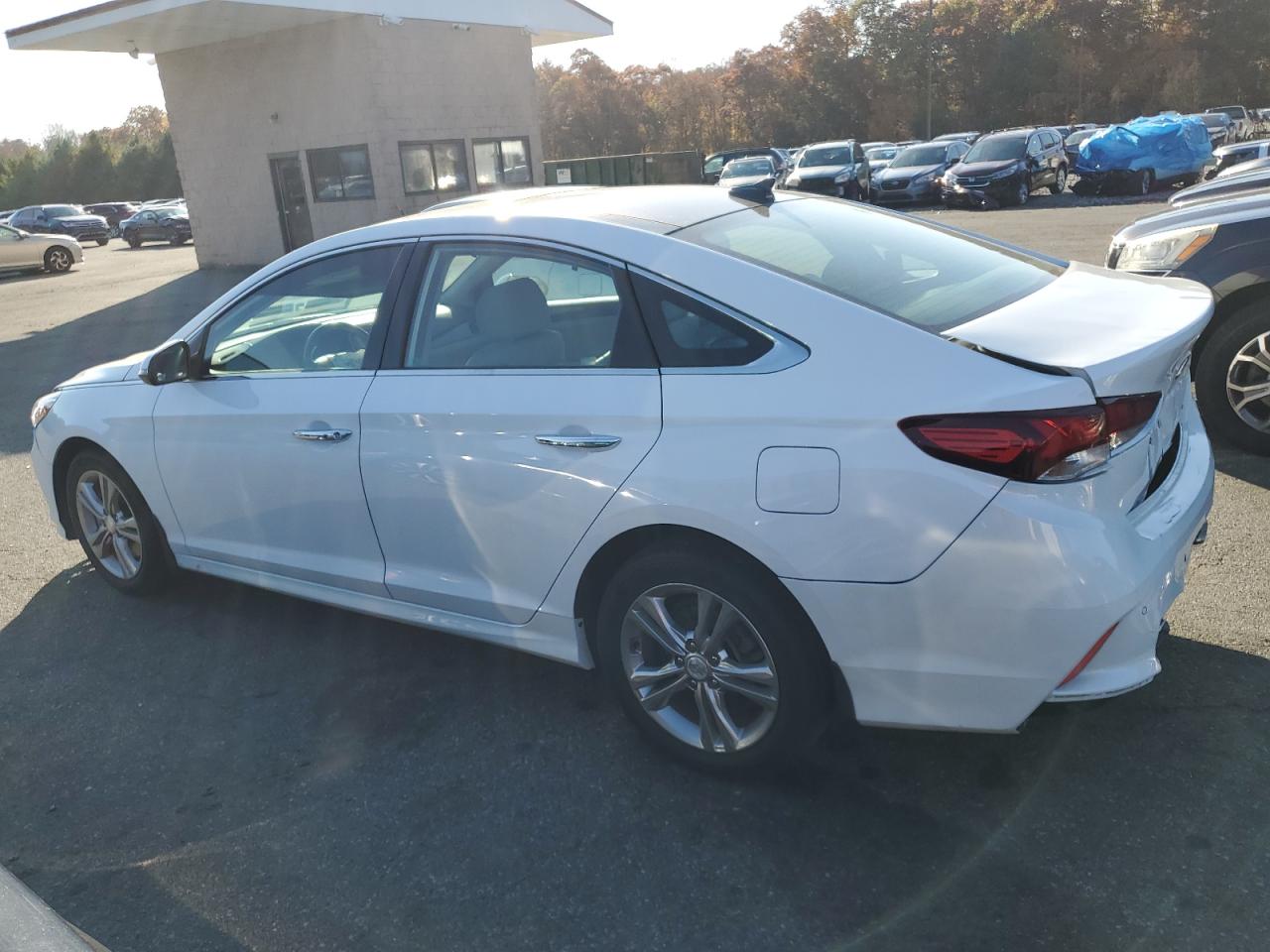 2019 Hyundai Sonata - Image 2