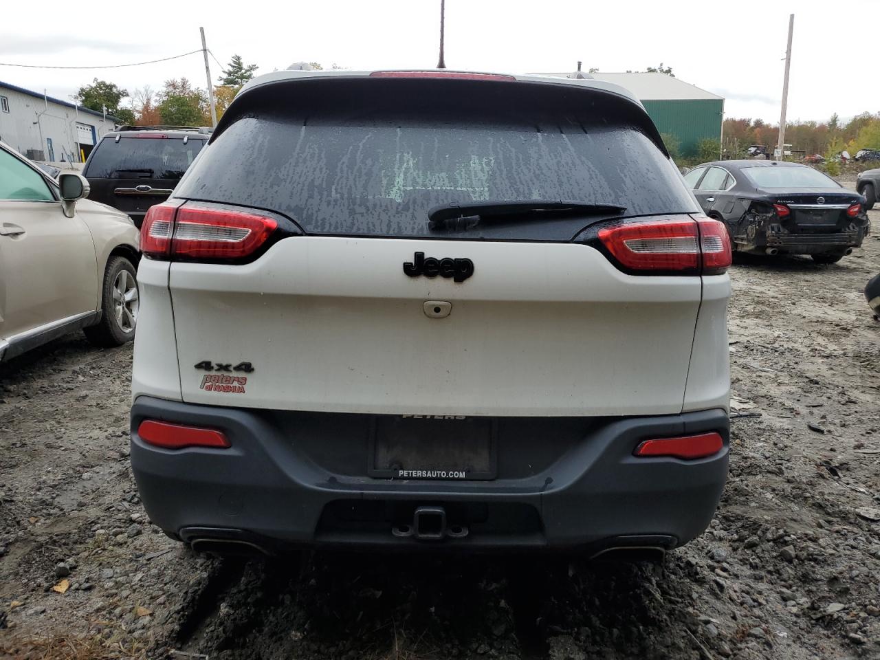 1C4PJMDS2HW569309 2017 Jeep Cherokee Limited