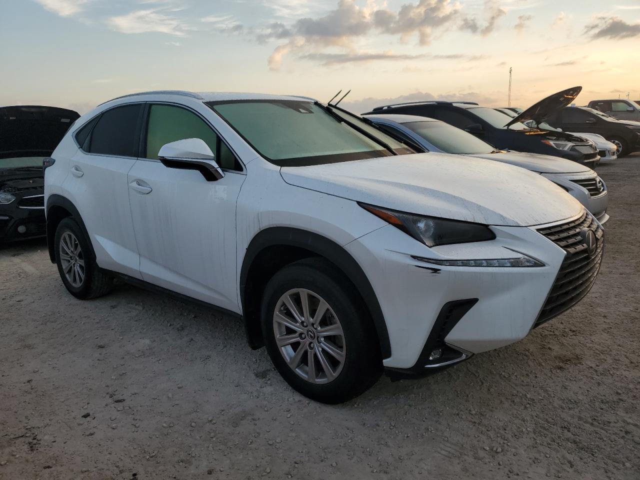 2021 Lexus Nx 300 Base VIN: JTJDARBZ5M5034892 Lot: 76397454