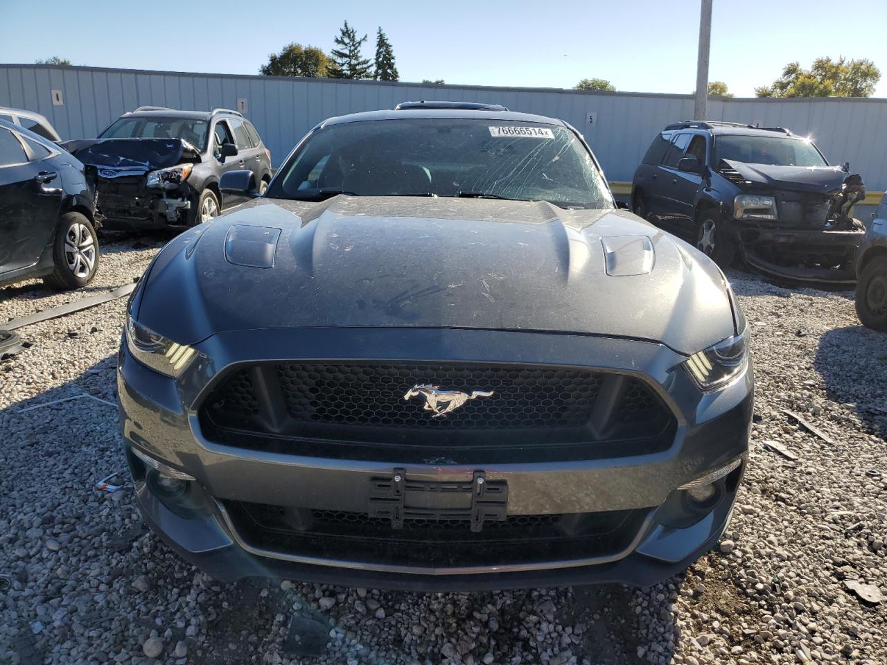 2016 Ford Mustang Gt VIN: 1FA6P8CF5G5225389 Lot: 76666514