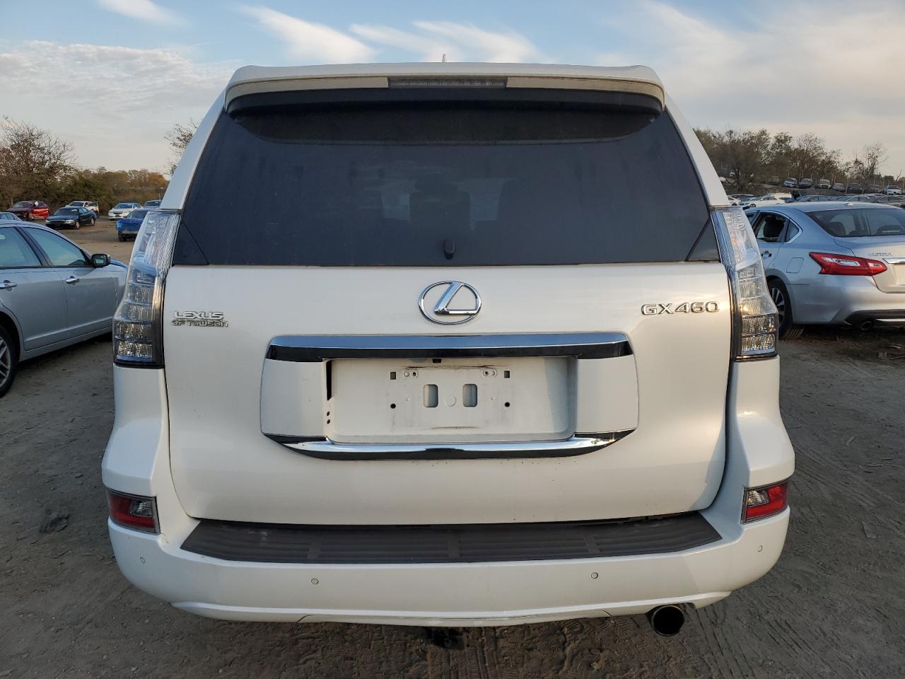 2018 Lexus Gx 460 VIN: JTJBM7FX0J5187509 Lot: 77604994