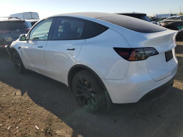  TESLA MODEL Y 2022 Белый