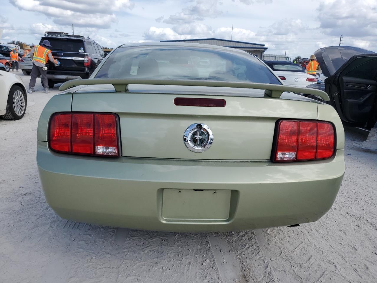 2005 Ford Mustang VIN: 1ZVFT80N255240282 Lot: 76384814