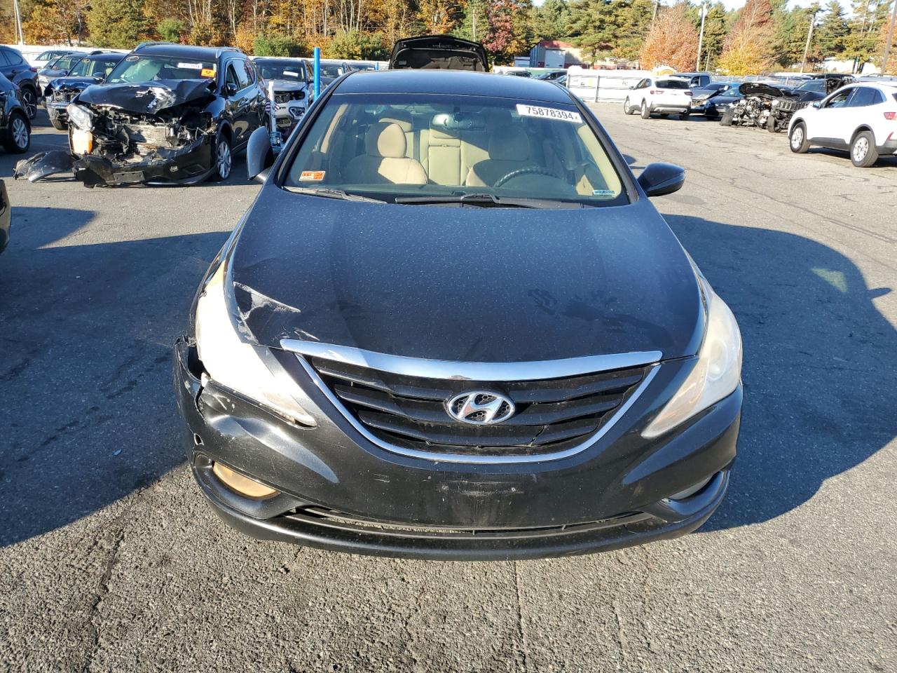 2013 Hyundai Sonata - Image 5