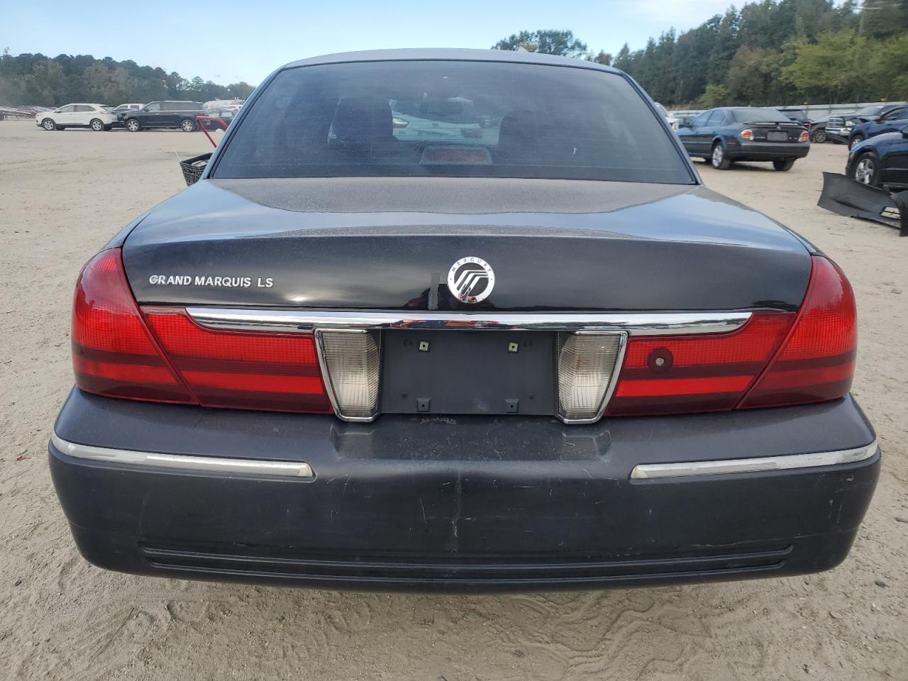 2003 Mercury Grand Marquis Ls VIN: 2MEFM75W43X697973 Lot: 76053254